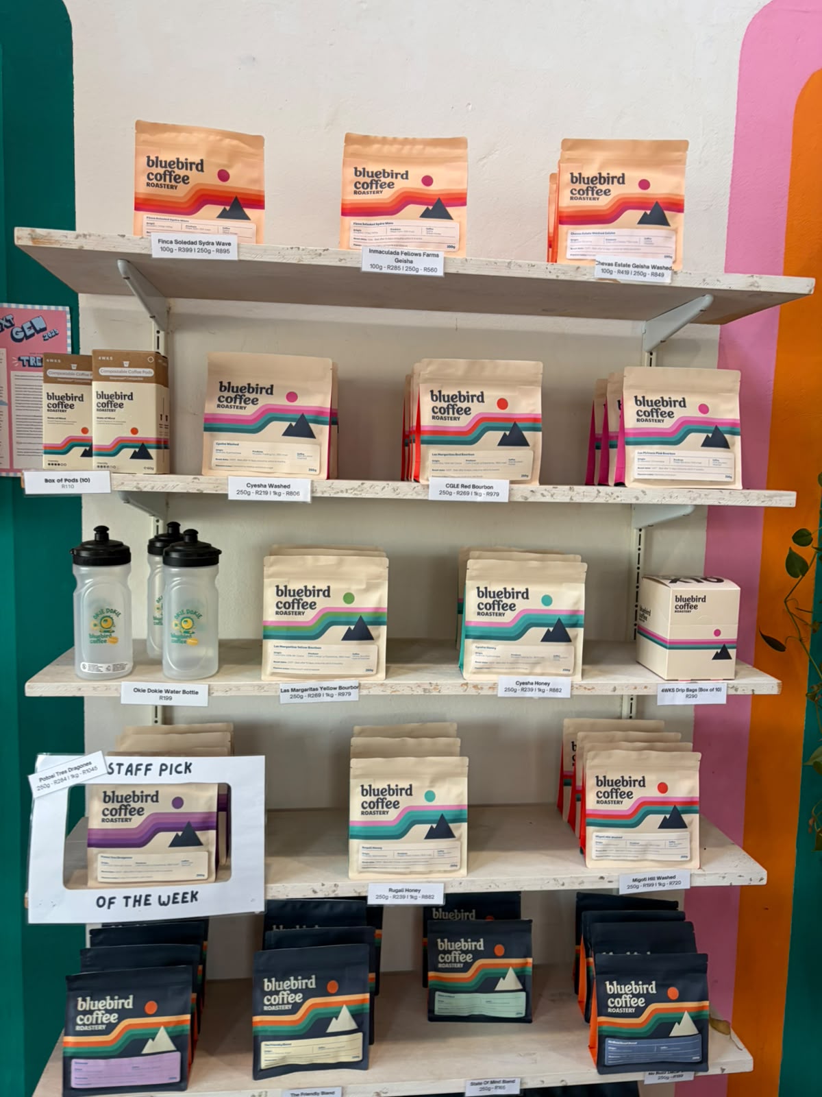 Bluebird bags on display — Cyesha Washed, COLE Red Bourbon, and the geisha shelf up top