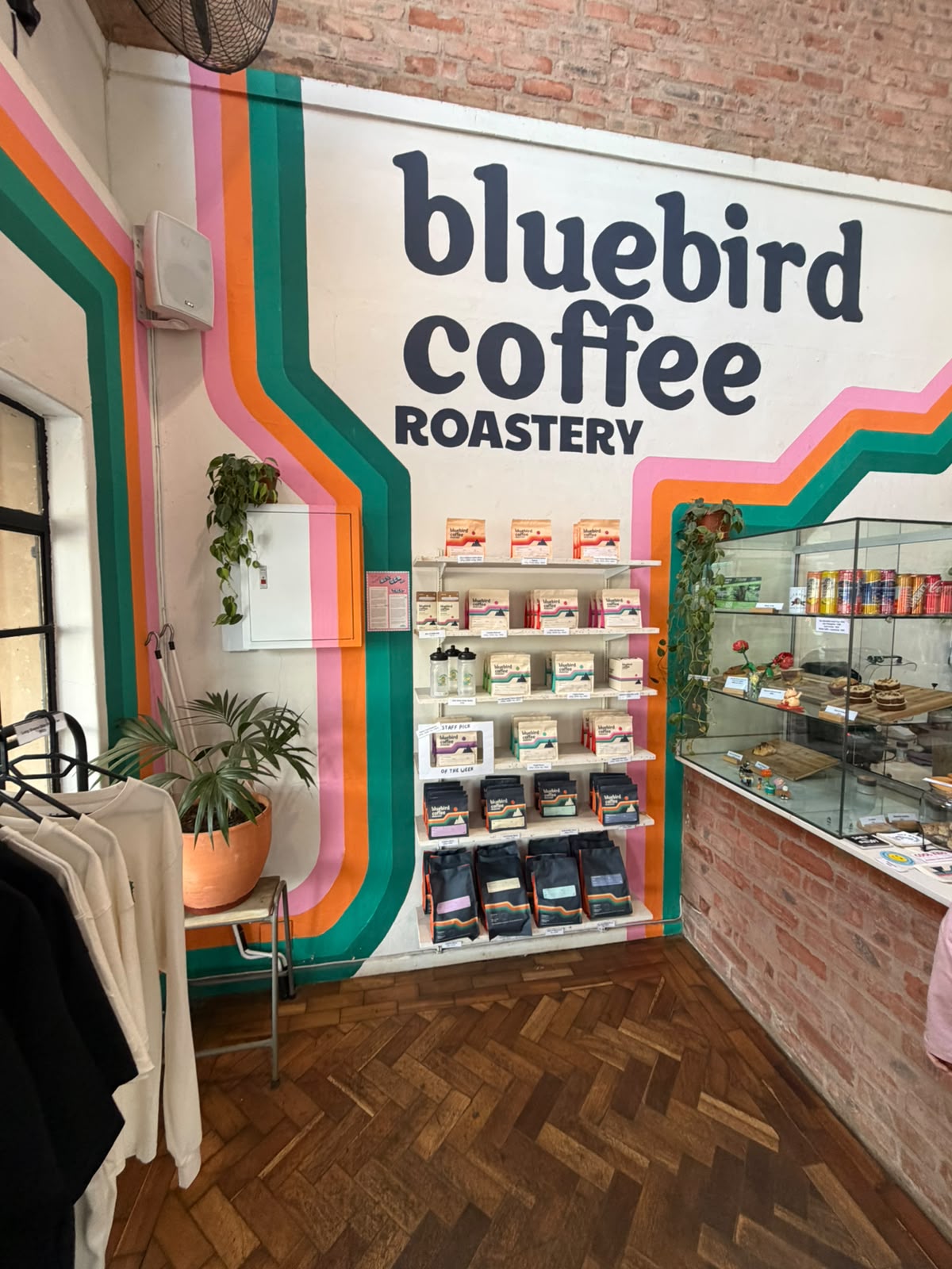 The Bluebird Coffee Roastery branding wall — retro stripes, coffee bags, and that unmistakable mountain logo