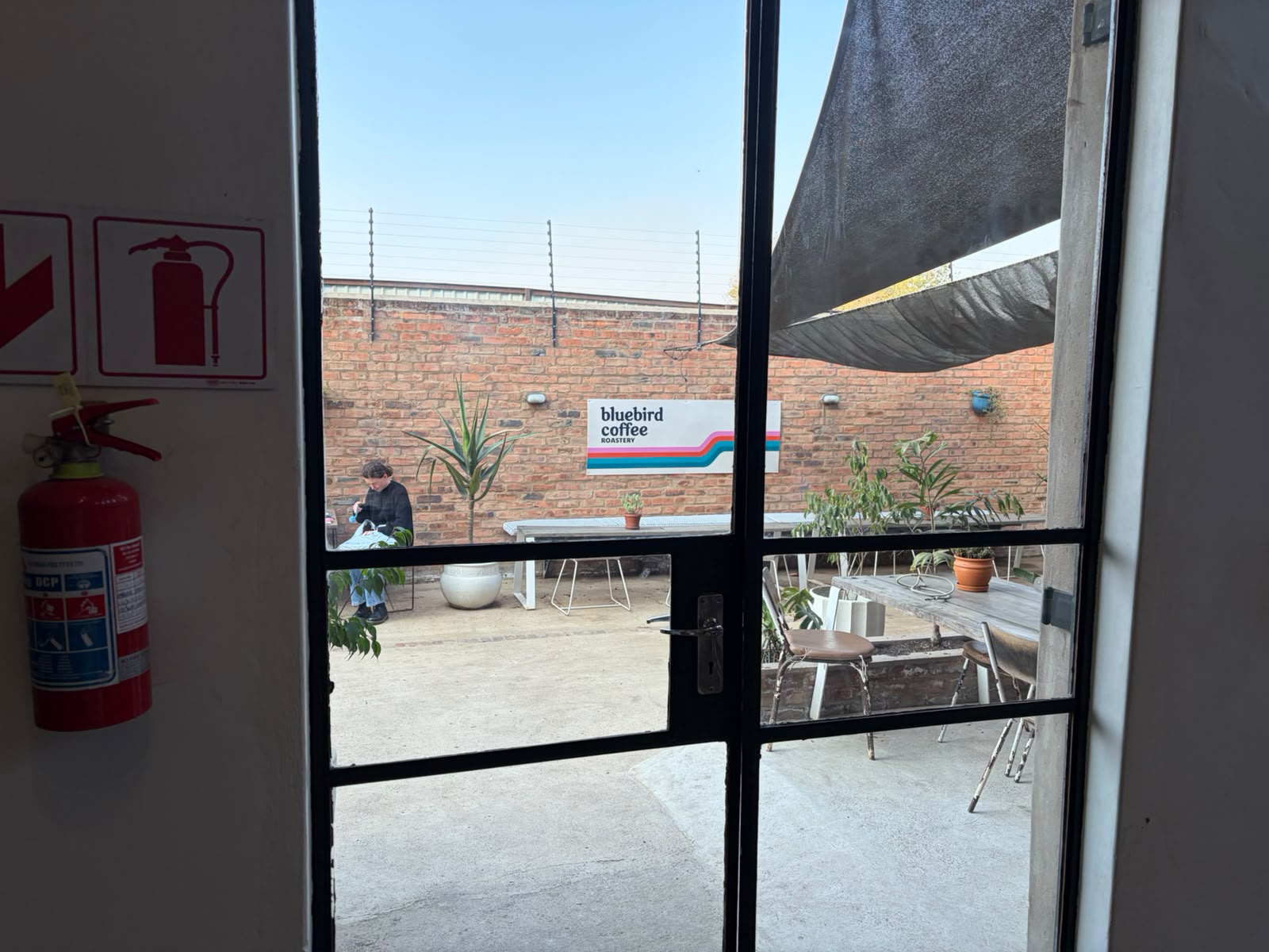 Bluebird's courtyard — brick wall, shade cloth, outdoor seating, and the logo sign