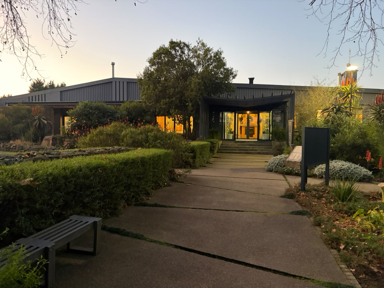 The entrance to Brahman Hills at first light — pathway through indigenous gardens toward the main building