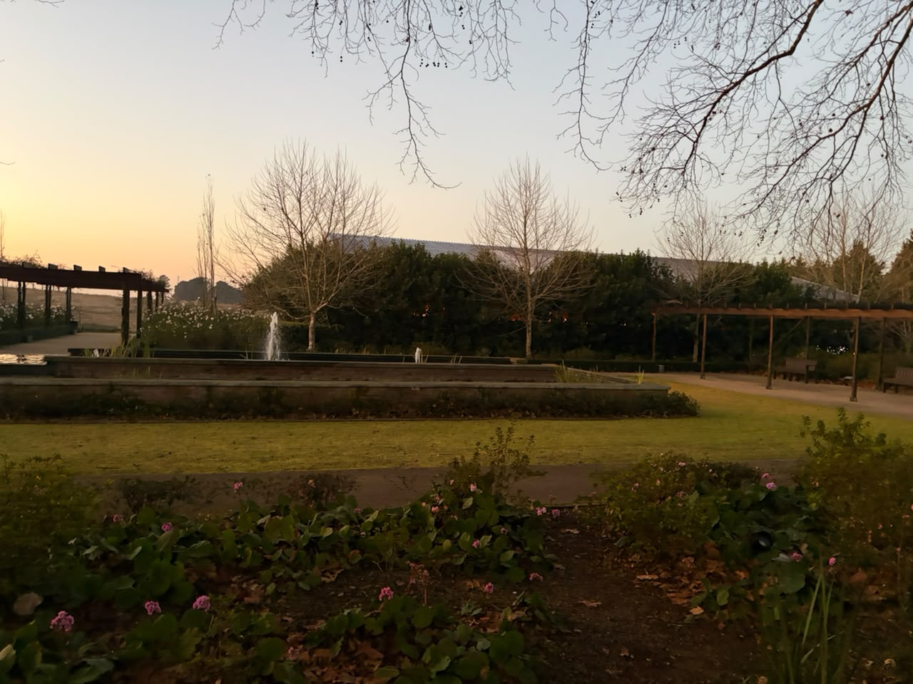 Brahman Hills gardens at sunrise — fountains, pergolas, and rolling KZN Midlands countryside