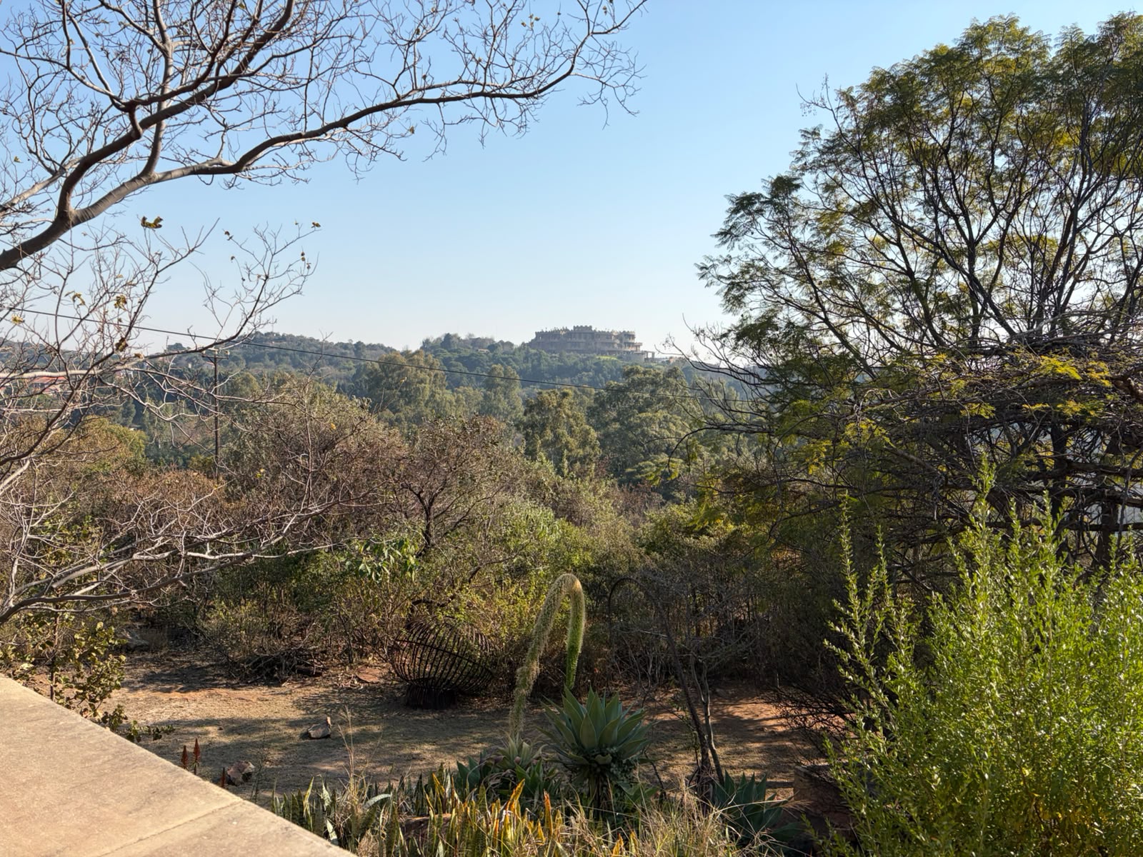 The Bronberg valley view from Sorcery's terrace — dry winter bushveld, cacti, and tree canopies stretching to the ridge
