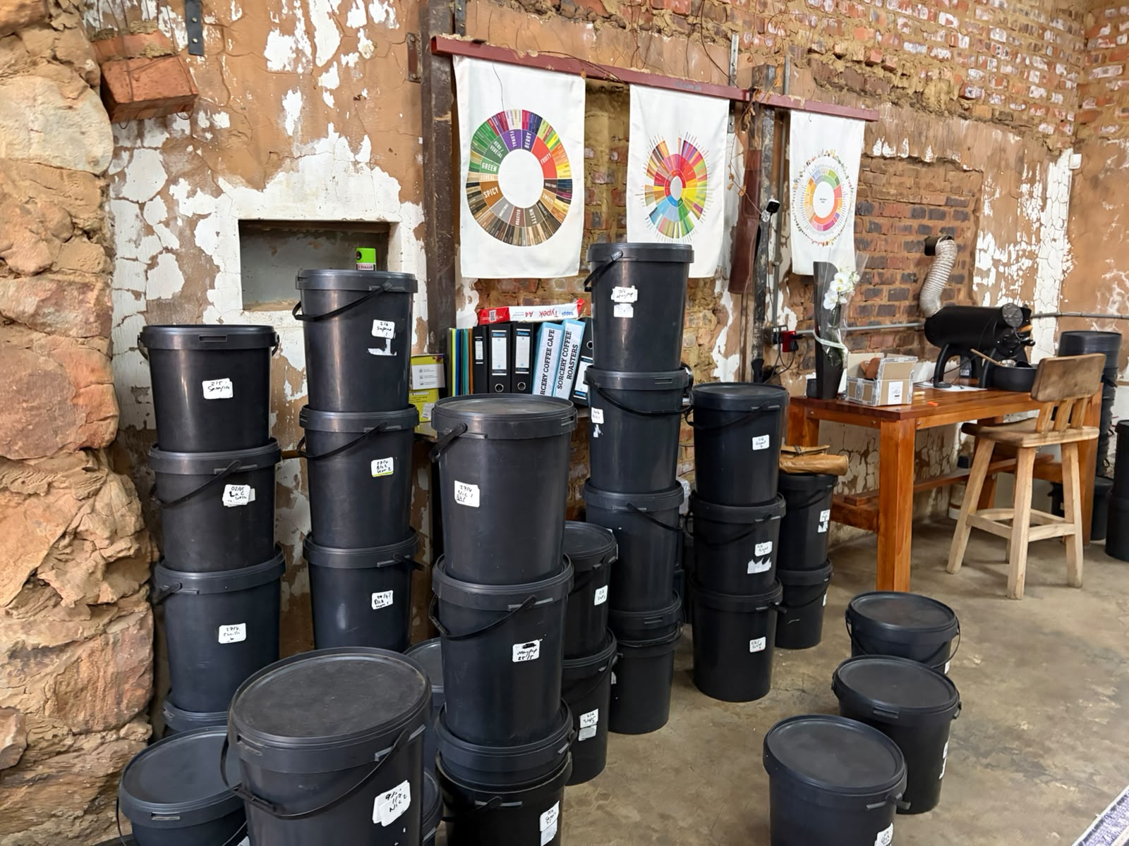 Rows of labelled black airtight buckets storing green coffee beans, with SCA flavour wheels and ring binders on the wall behind