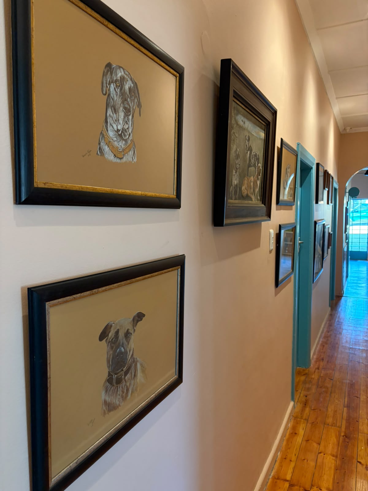 Hallway gallery of framed Great Dane portraits and sketches — pencil drawings, photographs, teal doorframes, wooden floors