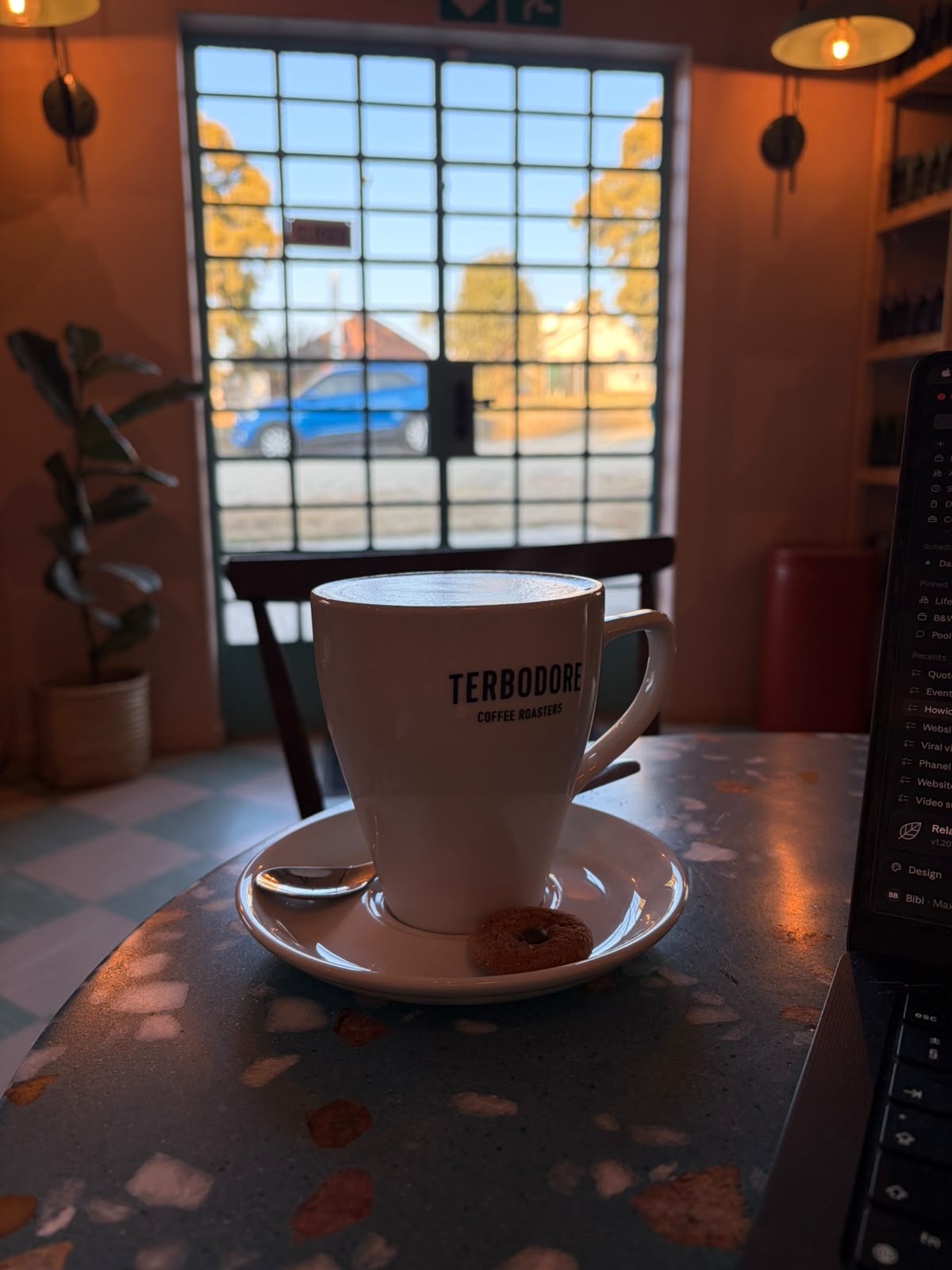 Terbodore branded cup and saucer on a terrazzo table — warm golden light, teal window frame, a biscuit on the saucer