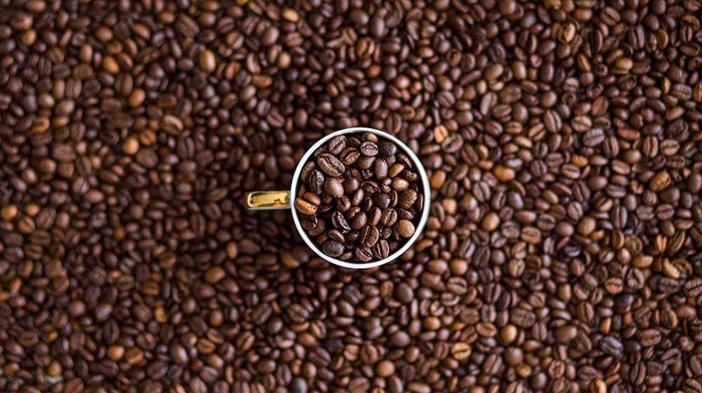 Quaffee — Cape Town specialty coffee roaster