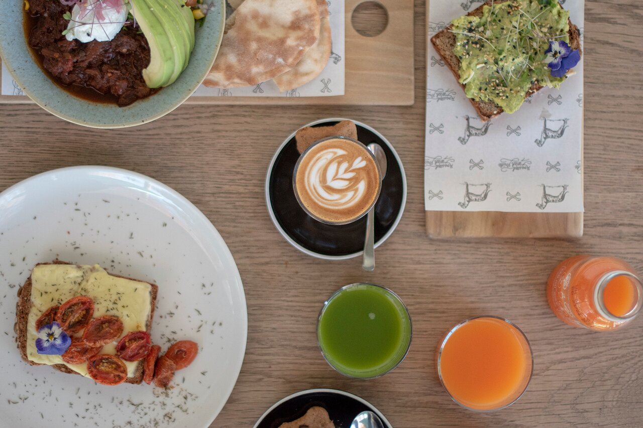 Terbodore Coffee Roasters — Cape Town specialty coffee roaster